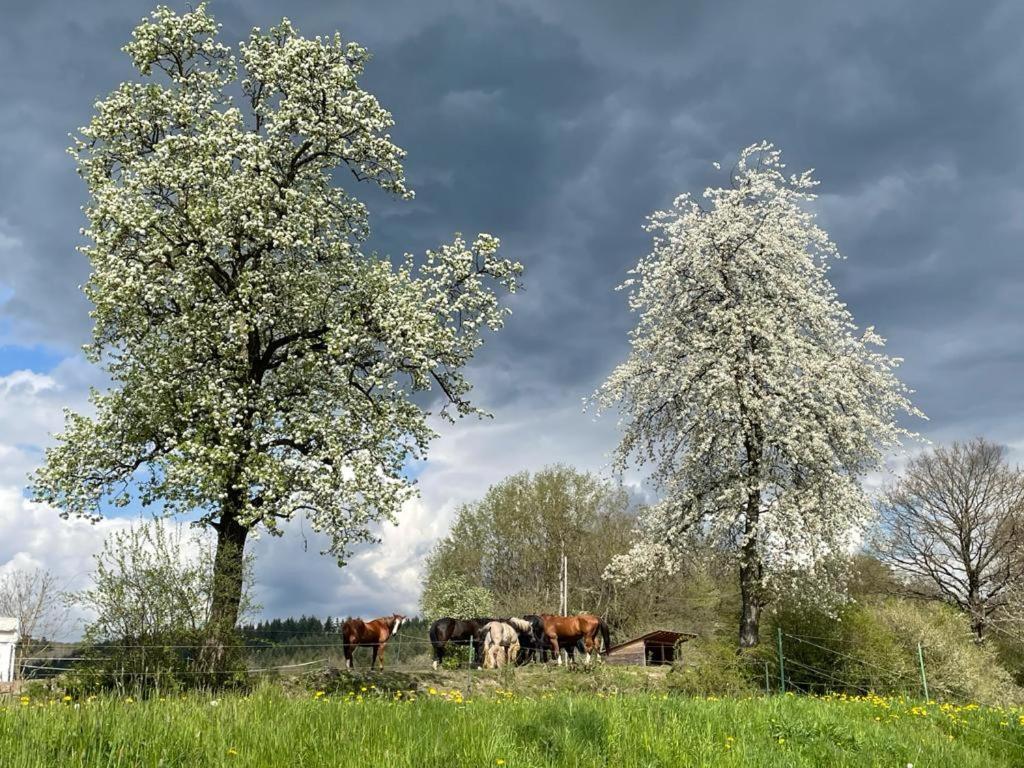 Reiterhof Fuellnhausen Apartment Kroge Bagian luar foto